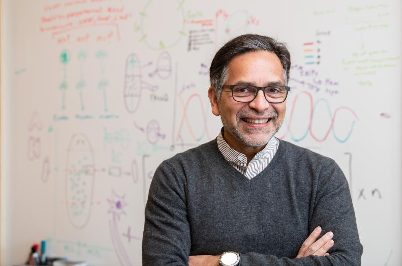 Dr. Alejandro Sánchez Alvarado standing in front of a white dry erase board with his arms crossed while smiling. The dry erase board behind him has biology graphics in different colors.