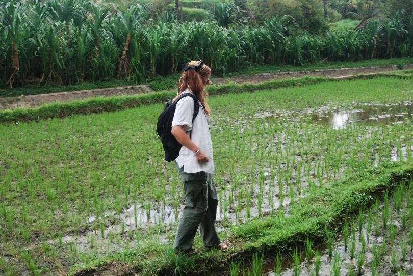 McNely examines plastic pollution in a large rice field north of Denpas. 